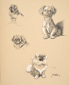 Pekes, 1930, Illustrations from his Sketch Book used for 